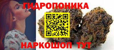 прущие крисы Кунгур