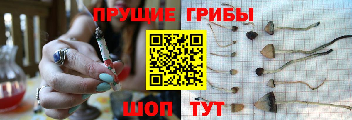 Псилоцибиновые грибы мицелий  где найти   Луховицы  Псилоцибиновые грибы ЛСД  Вход с VPN 